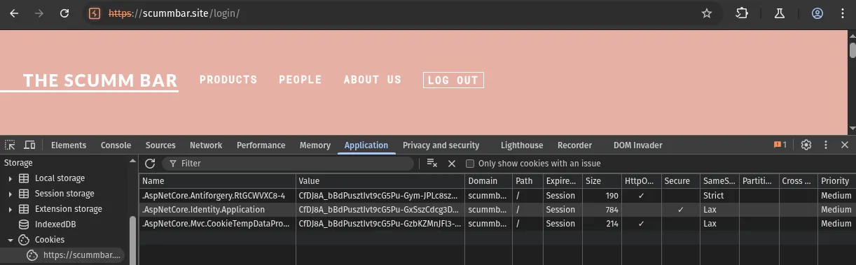 The Burp browser window open at the login page. DevTools is open at the Application > Cookies page. The ".AspNetCore.Identity.Application" cookie blaues has been replaced.