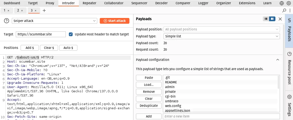 Burp Intruder with the "Payloads" tab selected on the right of the window. Under "Payload configuration" a list of potential file and directory names has been pasted in.